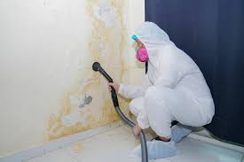 Best Water Damage & Mold Remediation  in Belford, NJ